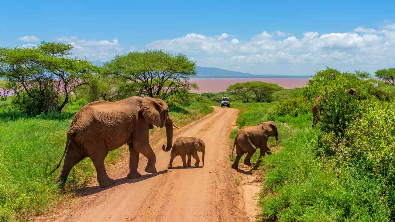 Le piste del Serengeti